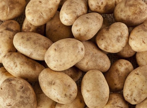 أنواع الخضروات التي تحتوي على البروتين Russet-potatoes