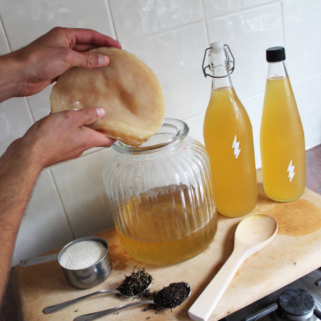 Чайный гриб как заваривать рецепт. Чайный гриб. Чайный гриб в банке. Чайный гриб на кухне. Как готовить чайный гриб.