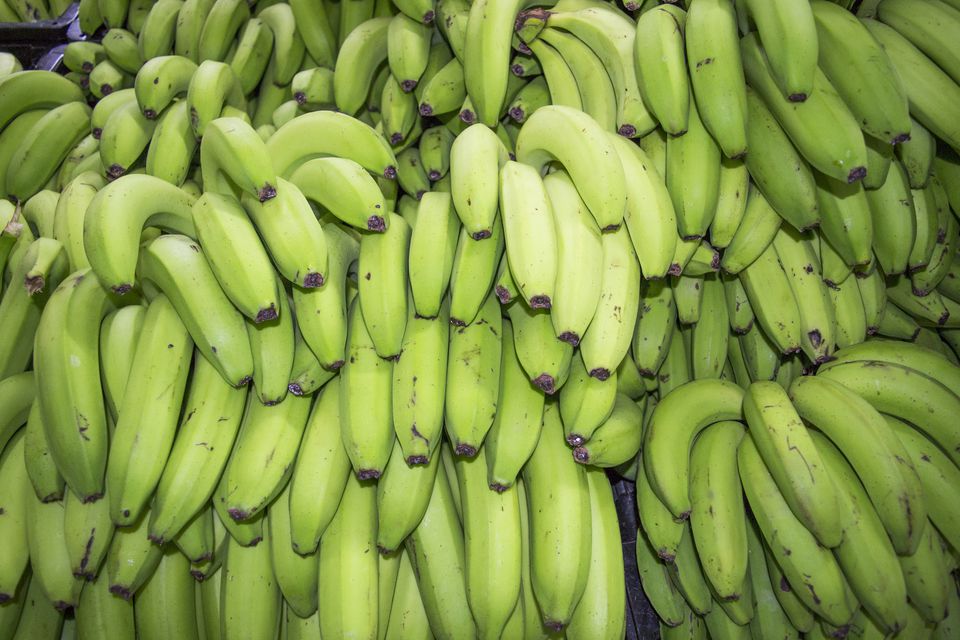 حساسية الموز تهاجم الفم والعينين صحيفة الخليج