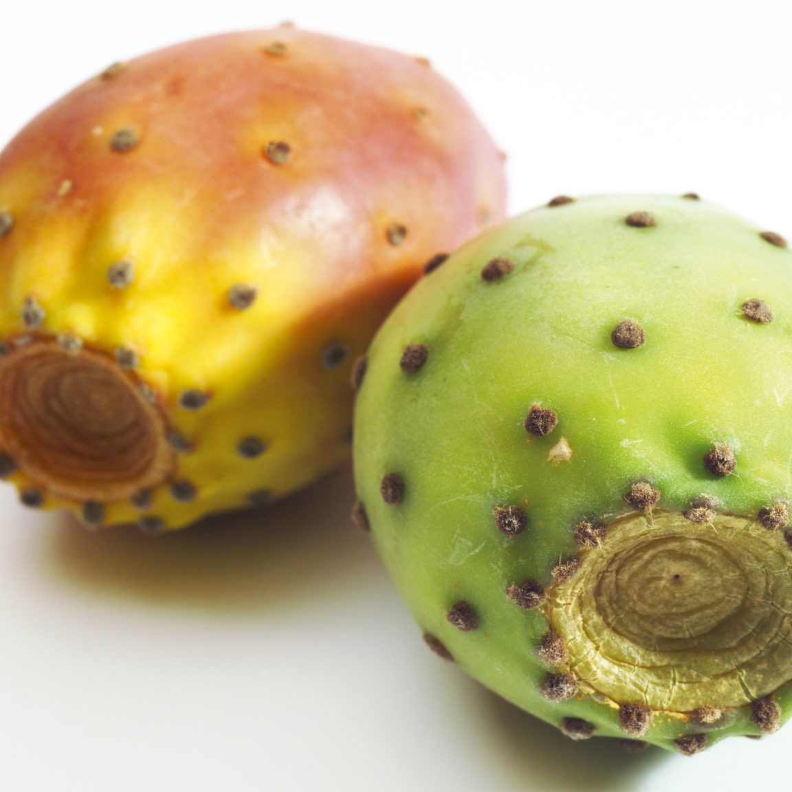 Prickly pear. Кактусовый фрукт. Фрукт похожий на Кактус. Экстракт плодов пуники. Кактус фрукт на белом.